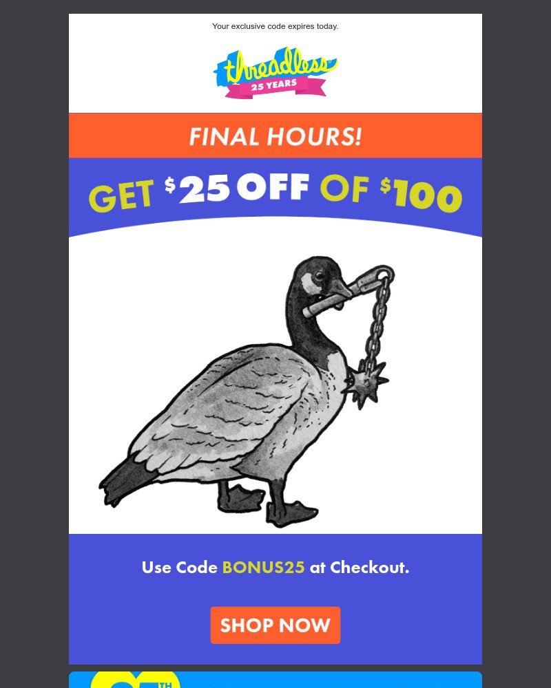Screenshot of email with subject /media/emails/want-25-off-nows-the-time-46e5fe-cropped-fc0bedd0.jpg