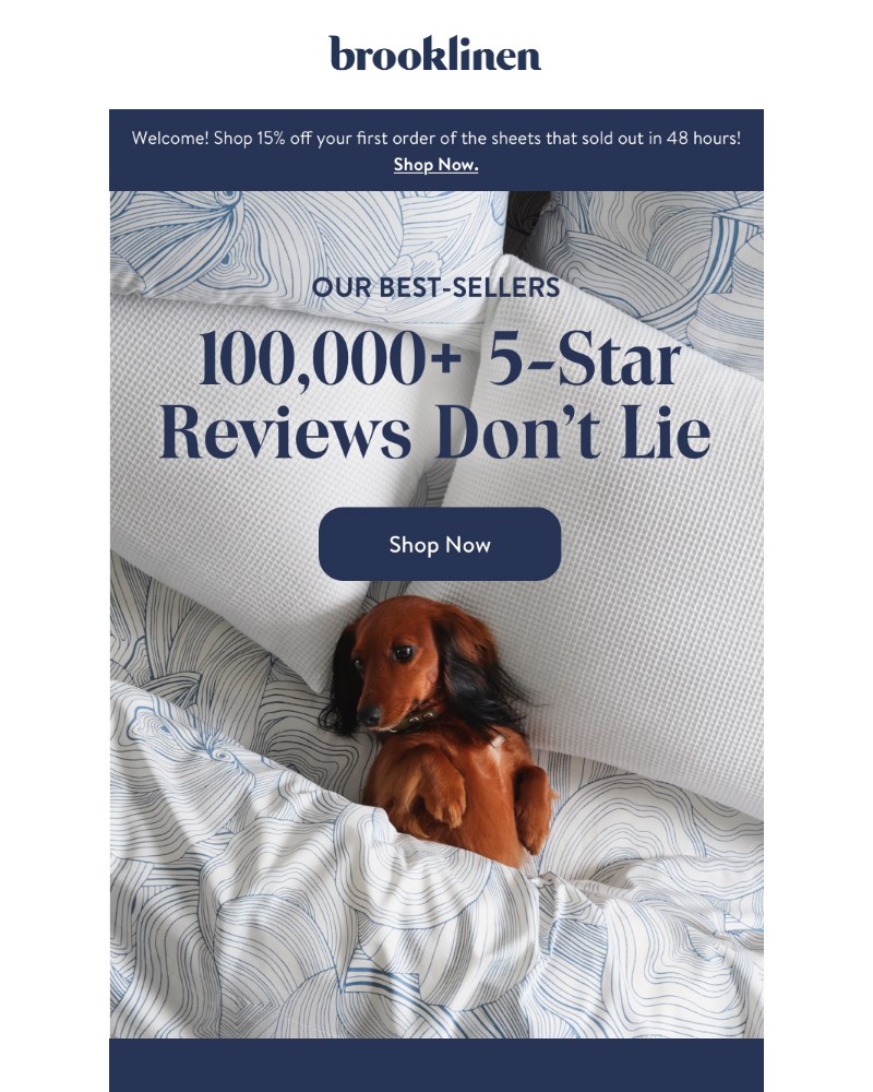 Screenshot of email with subject /media/emails/want-5-star-comfort-8a74f8-cropped-862bdc13.jpg