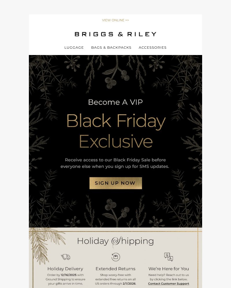 Screenshot of email with subject /media/emails/want-first-dibs-at-black-friday-3efd33-cropped-e6d44a83.jpg
