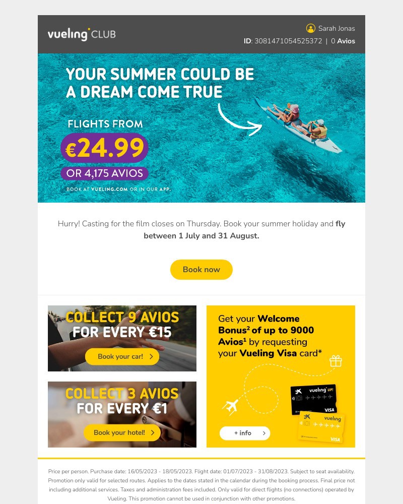 Screenshot of email with subject /media/emails/wanted-the-main-character-of-your-next-summer-holiday-c8caf4-cropped-18e8a6c3.jpg