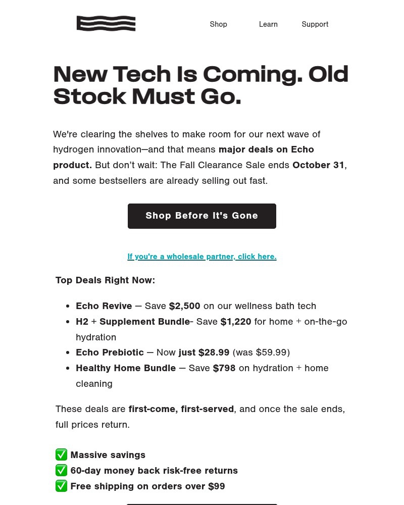 Screenshot of email sent to a Echo Water Newsletter subscriber