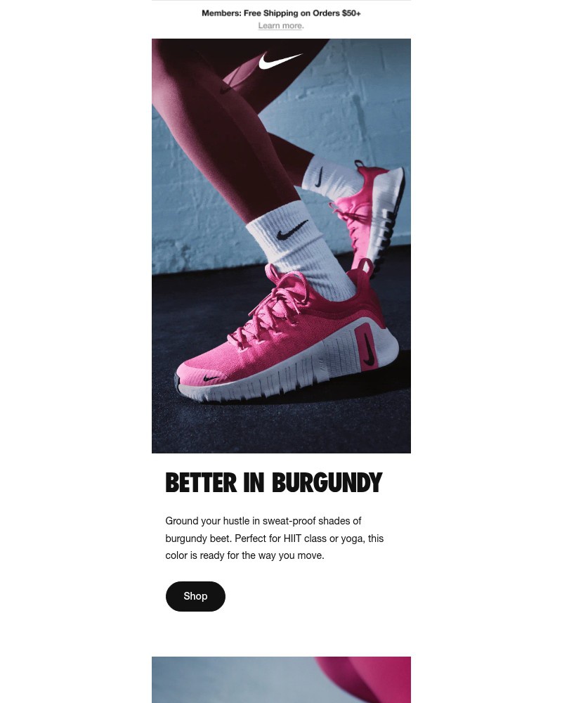 Screenshot of email sent to a Nike Registered user