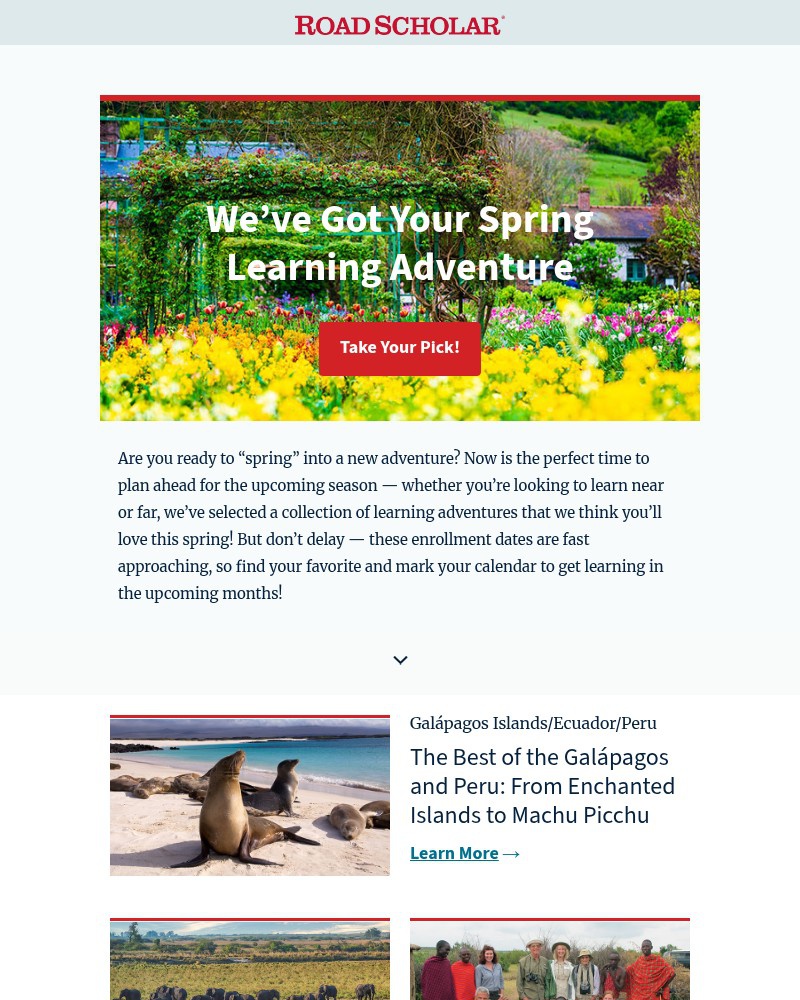 Screenshot of email sent to a Road Scholar Newsletter subscriber