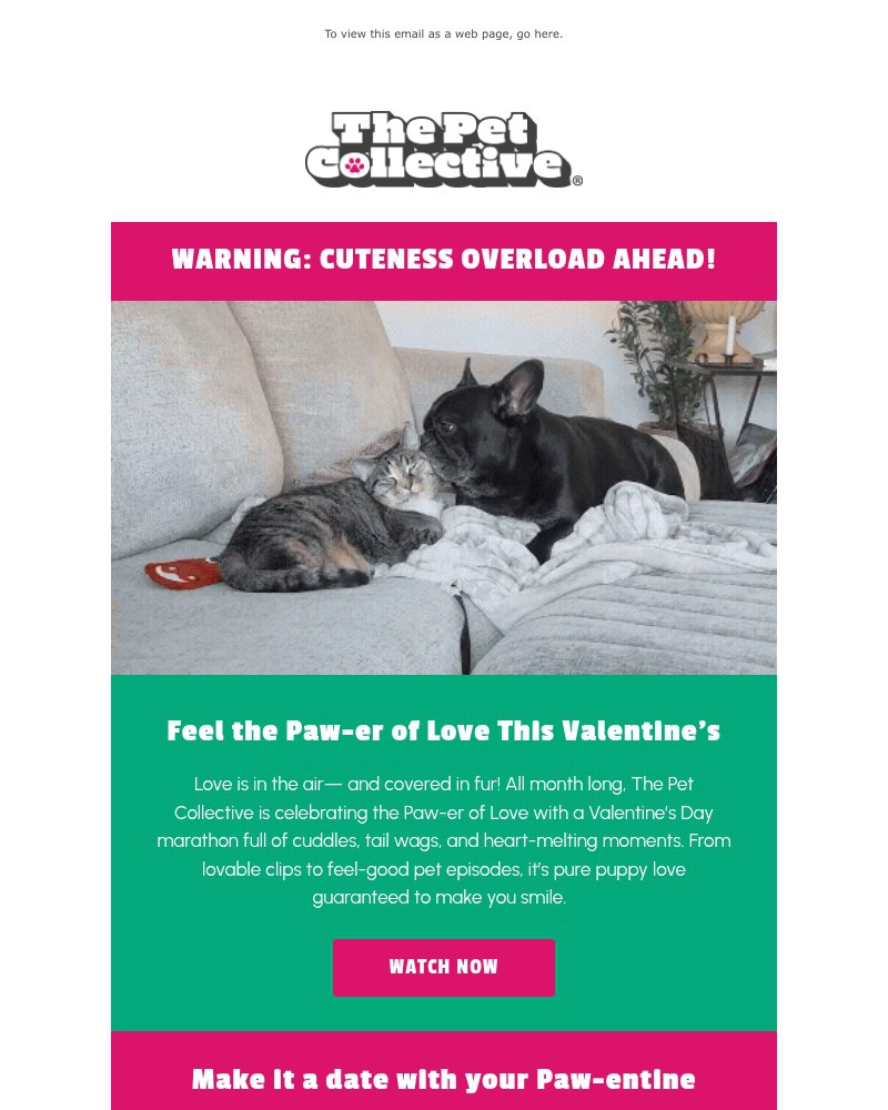 Screenshot of email with subject /media/emails/warning-extreme-cuteness-ahead-69725f-cropped-c0b46a91.jpg