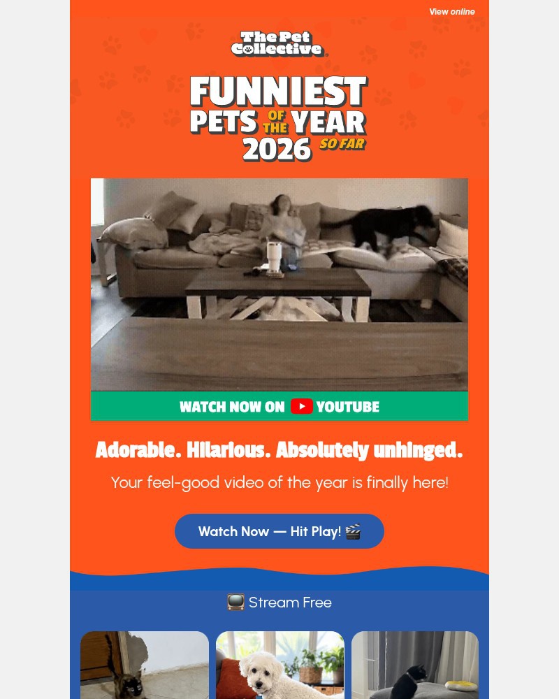 Screenshot of email sent to a Reader’s Digest Newsletter subscriber