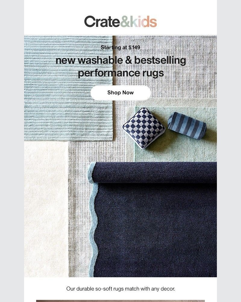 Screenshot of email with subject /media/emails/washable-rugs-starting-at-just-149-9769d5-cropped-8f187bac.jpg