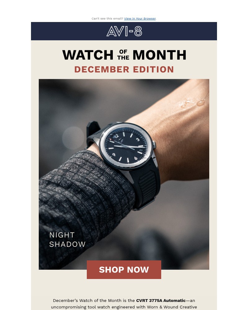 Screenshot of email sent to a AVI-8 Newsletter subscriber