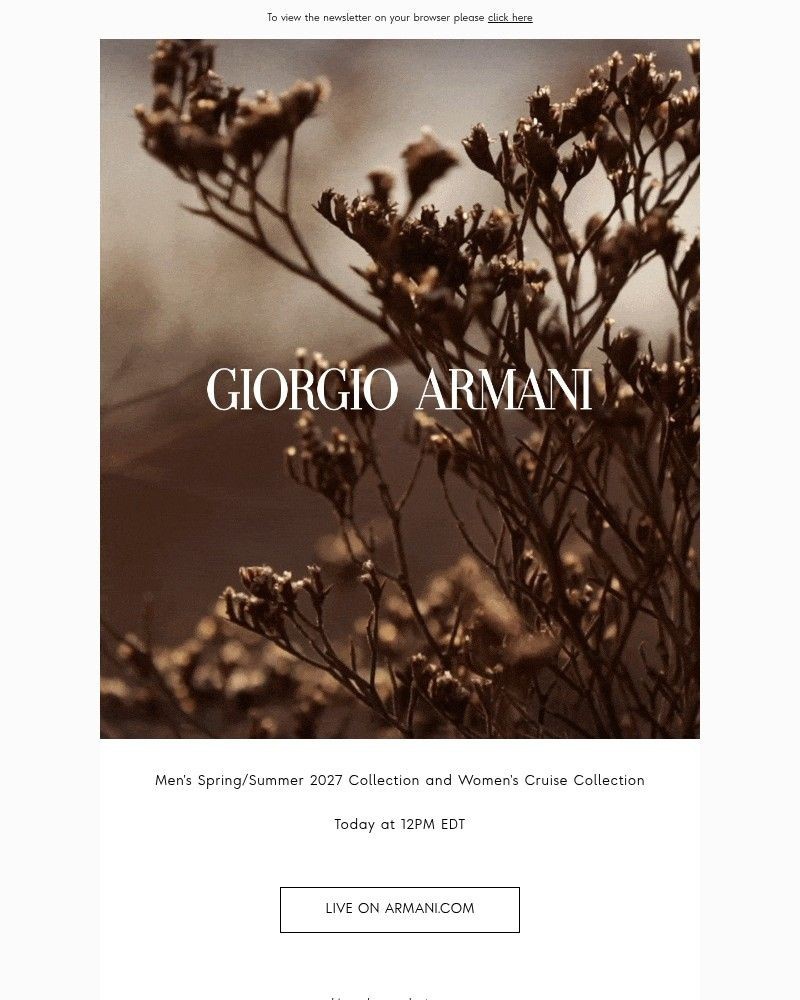 Screenshot of email with subject /media/emails/watch-the-mens-springsummer-2027-and-womens-cruise-collection-cd4b18-cropped-e9b5701a.jpg