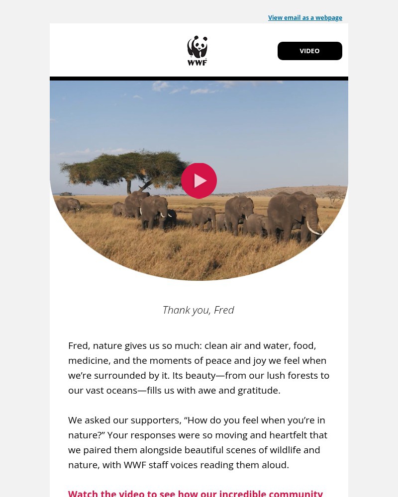 Screenshot of email with subject /media/emails/watch-this-video-was-inspired-by-you-fred-7fc019-cropped-48544236.jpg