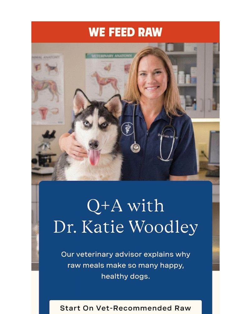 Screenshot of email with subject /media/emails/we-asked-the-vet-about-raw-40-off-078b29-cropped-4a52d50b.jpg