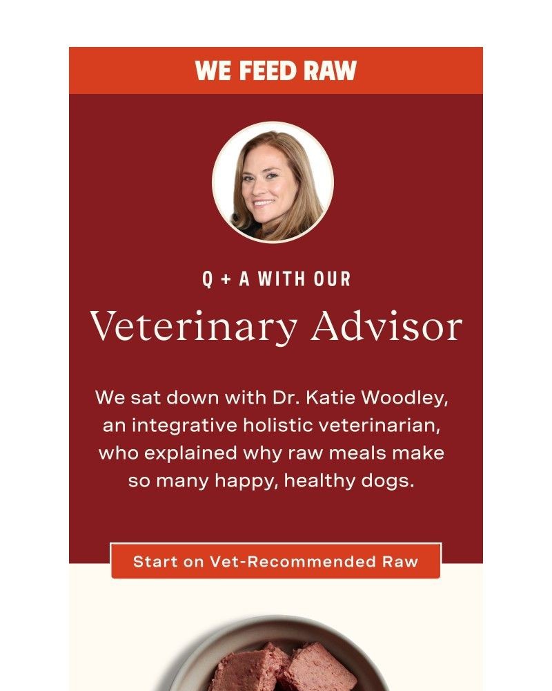Screenshot of email with subject /media/emails/we-asked-the-vet-about-raw-40-off-adbab5-cropped-1e19bfa5.jpg
