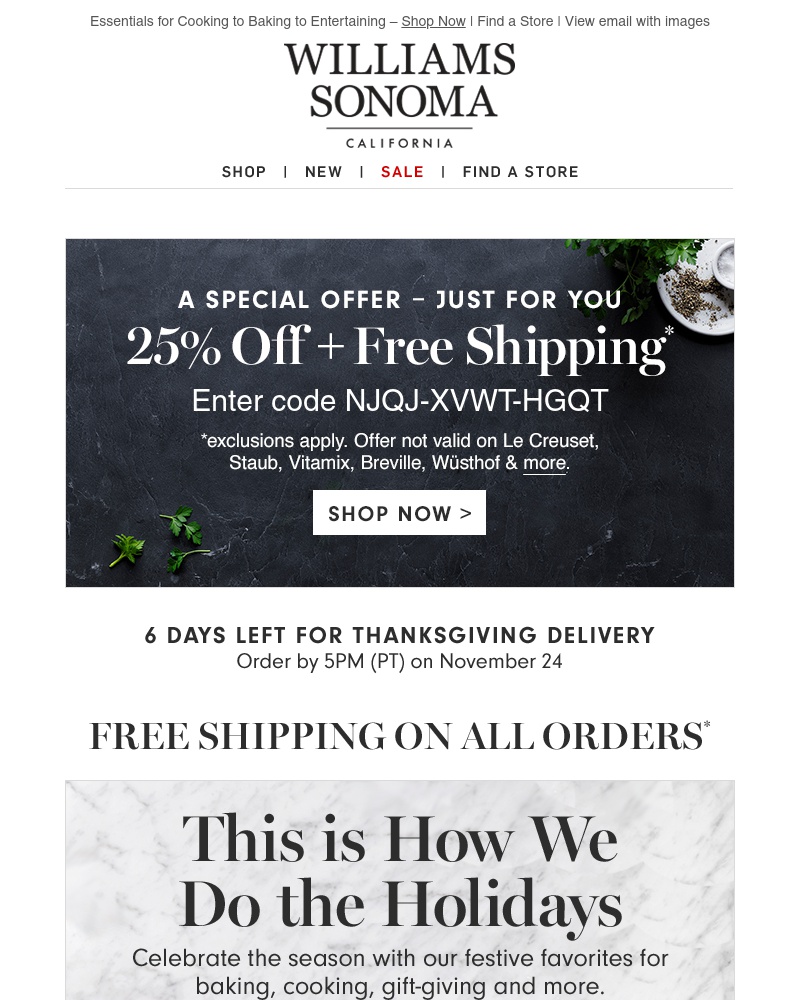 Screenshot of email with subject /media/emails/we-can-help-with-the-holidays-free-shipping-on-your-order-cropped-321e1dc8.jpg