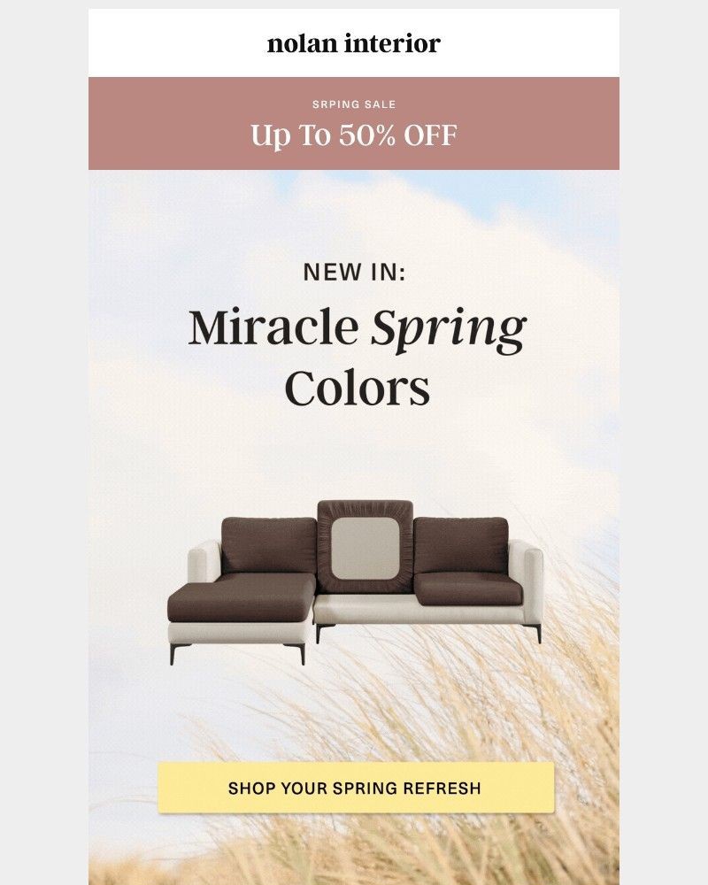 Screenshot of email sent to a Nolan Interior Newsletter subscriber