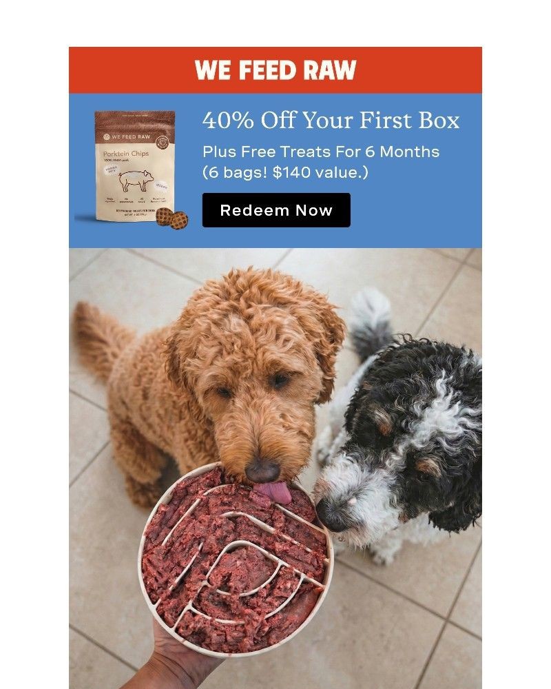 Screenshot of email sent to a We Feed Raw Newsletter subscriber