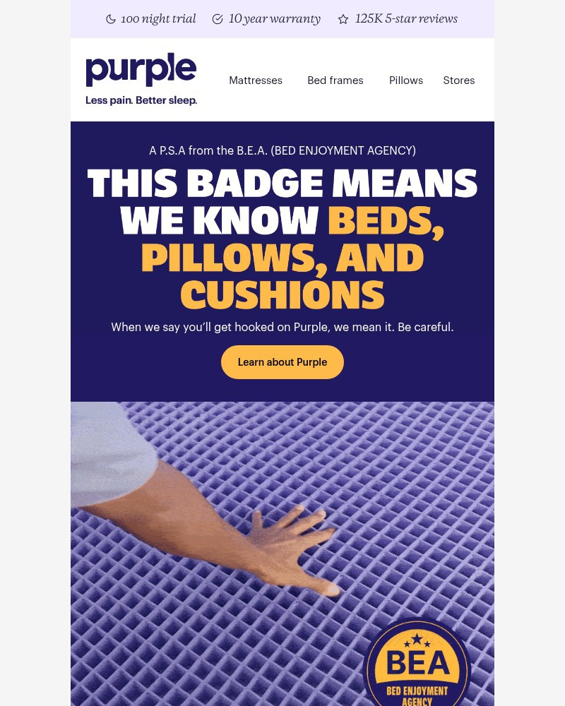 Screenshot of email sent to a Purple Cart abandoner