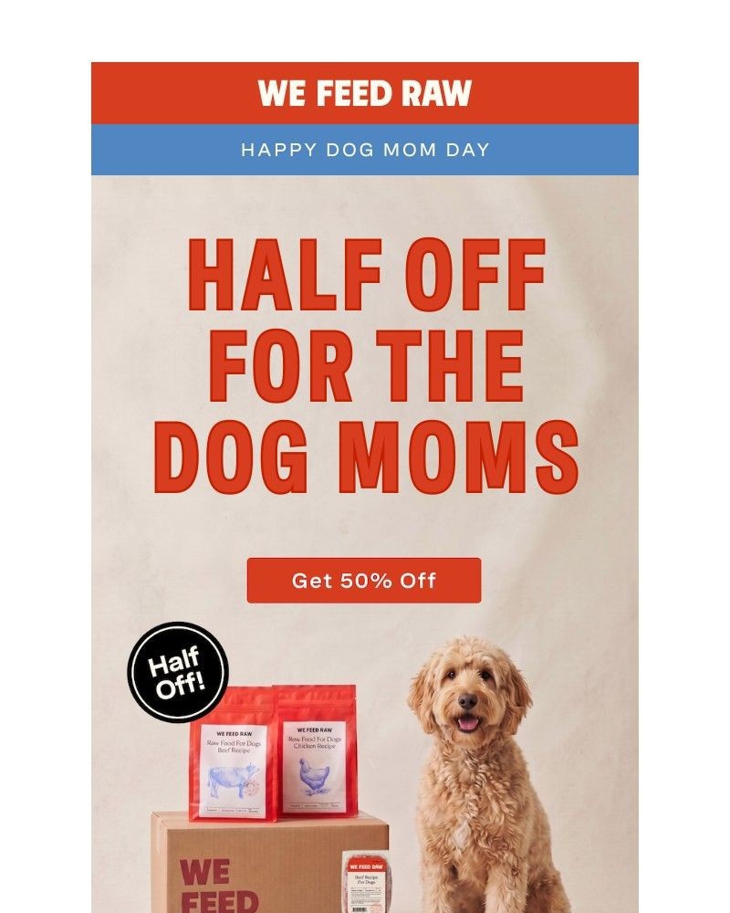 Screenshot of email with subject /media/emails/we-dog-mommas-gotta-stick-together-b323cb-cropped-e59cbfda.jpg