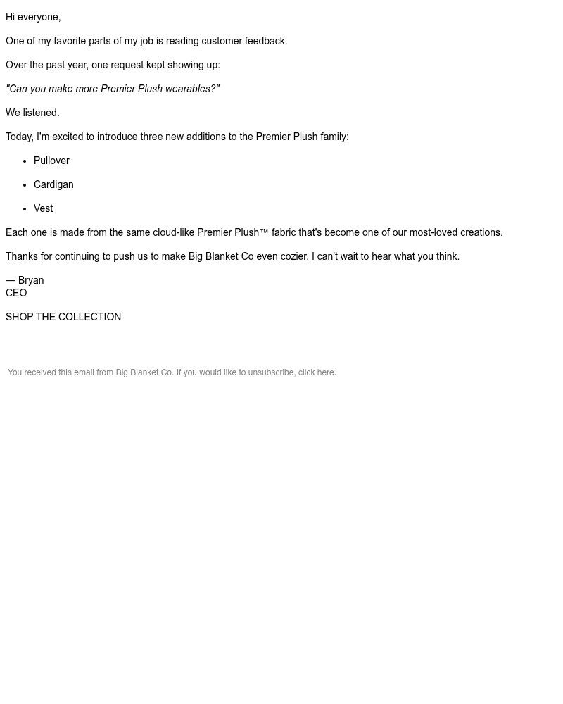 Screenshot of email sent to a Big Blanket Co. Newsletter subscriber
