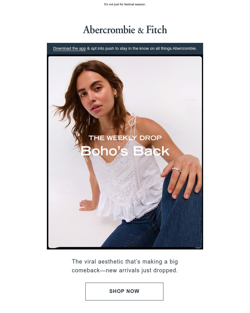 Screenshot of email with subject /media/emails/we-made-boho-happen-again-22b28b-cropped-dbed680c.jpg