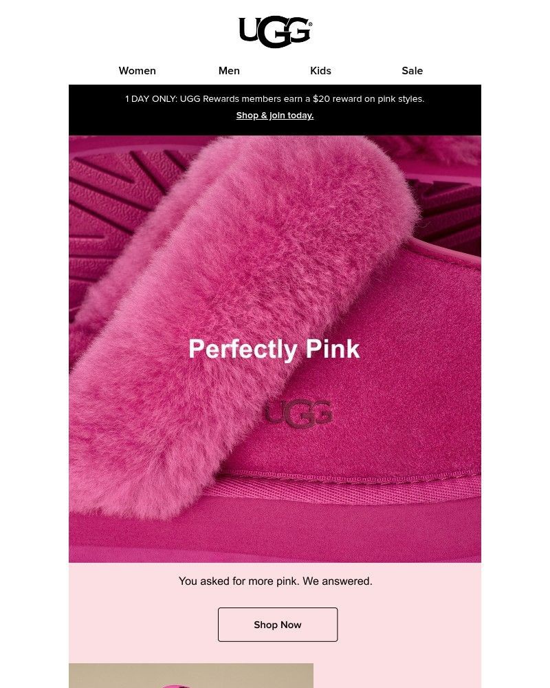 Screenshot of email with subject /media/emails/we-made-these-in-pink-95848d-cropped-30ad4ea4.jpg
