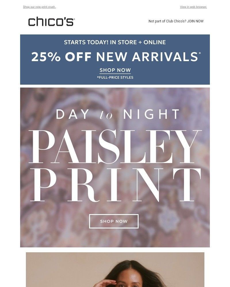 Screenshot of email with subject /media/emails/we-paisley-all-day-and-all-night-too-25-off-908062-cropped-59e3e7bf.jpg