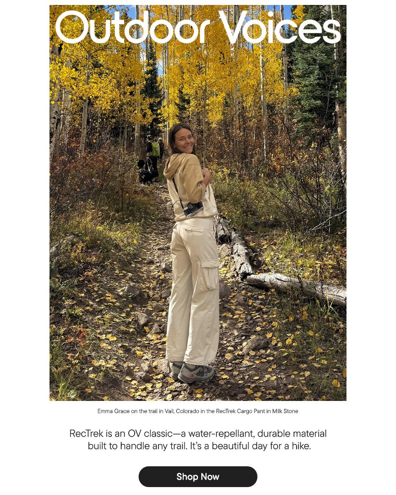 Screenshot of email with subject /media/emails/we-rectrek-4ae518-cropped-95b399d9.jpg