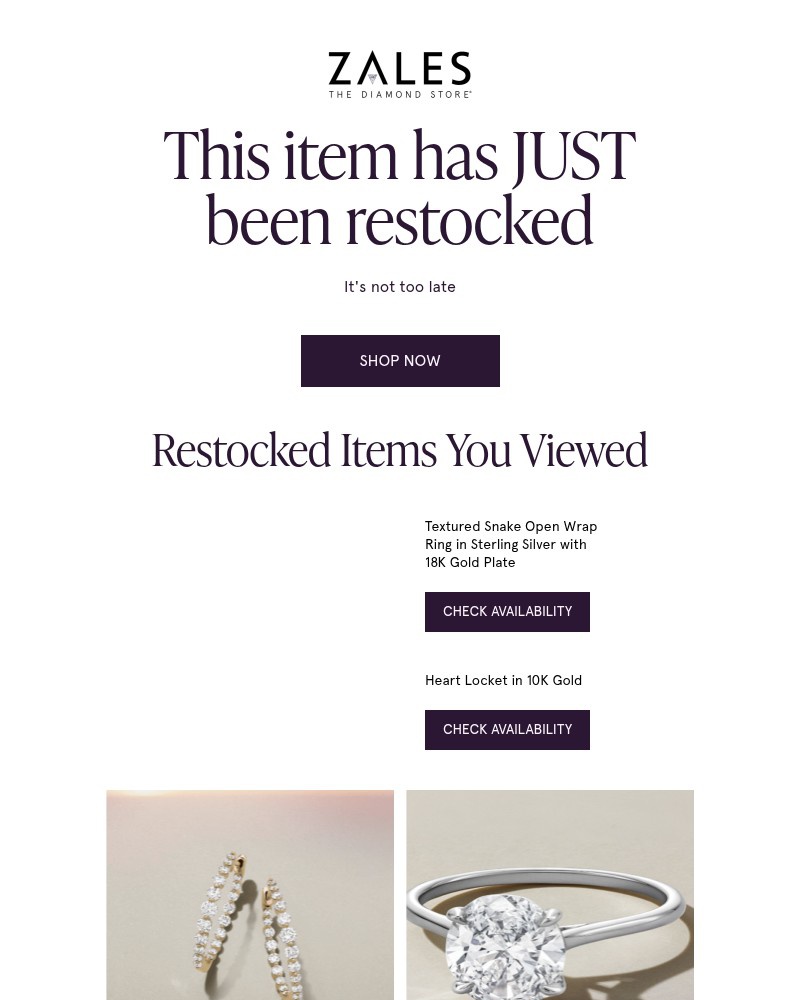 Screenshot of email with subject /media/emails/we-restocked-this-item-for-you-354de0-cropped-c0fe21fa.jpg