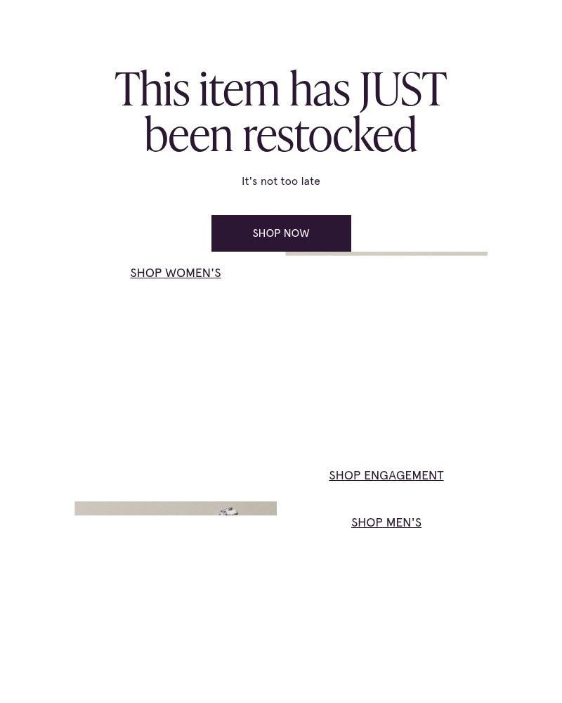 Screenshot of email with subject /media/emails/we-restocked-this-item-for-you-66fcb3-cropped-69b3f168.jpg