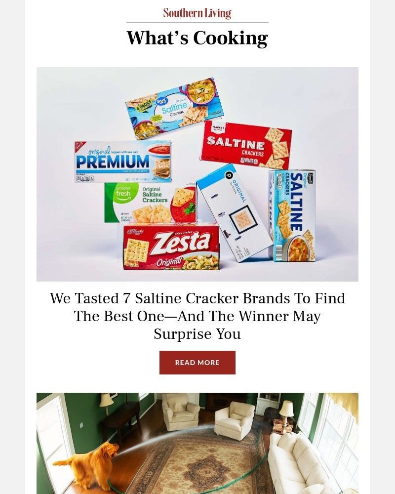 Screenshot of email with subject /media/emails/we-tasted-7-saltine-cracker-brands-to-find-the-best-one-43579c-cropped-9c3e6fdb.jpg