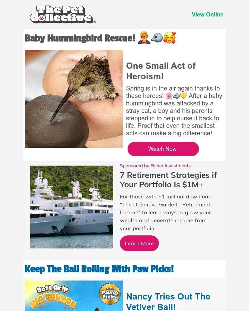 Screenshot of email with subject /media/emails/we-test-the-ultimate-dog-ball-51c3a5-cropped-65bc788f.jpg