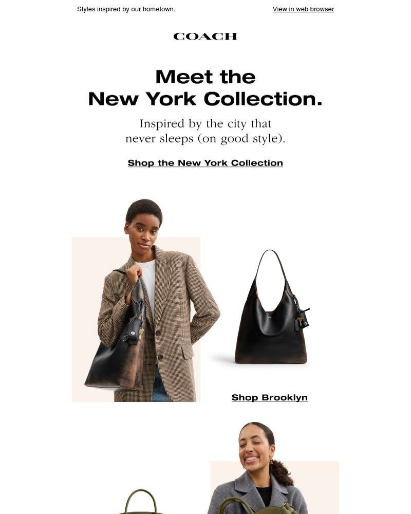 Screenshot of email with subject /media/emails/we-the-new-york-collection-5f507d-cropped-f8ae9f53.jpg
