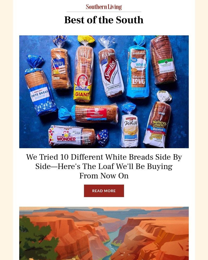 Screenshot of email with subject /media/emails/we-tried-10-different-white-breads-side-by-side-to-find-the-best-one-e8f7e4-cropp_KkNfV0b.jpg