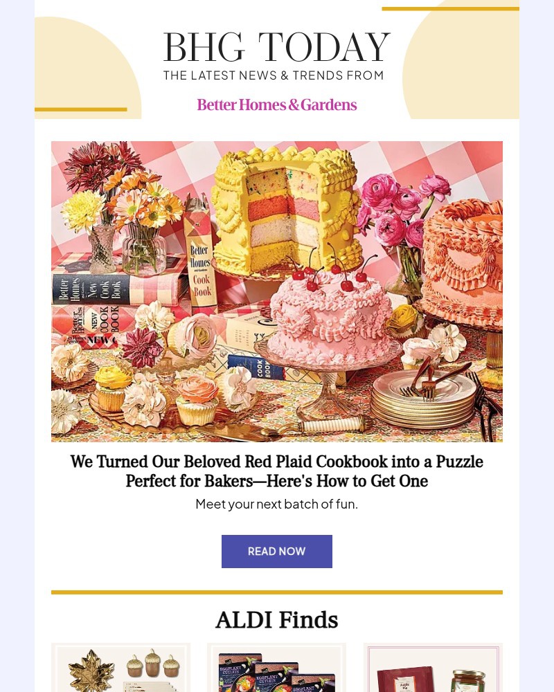 Screenshot of email with subject /media/emails/we-turned-our-beloved-red-plaid-cookbook-into-a-puzzle-perfect-for-bakers-9bcefd-_z0bMK3b.jpg