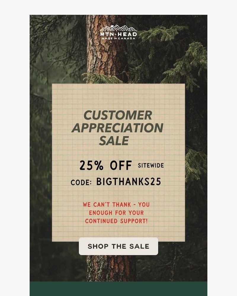 Screenshot of email with subject /media/emails/we-want-to-say-thank-you-db8bf2-cropped-eee58c7f.jpg