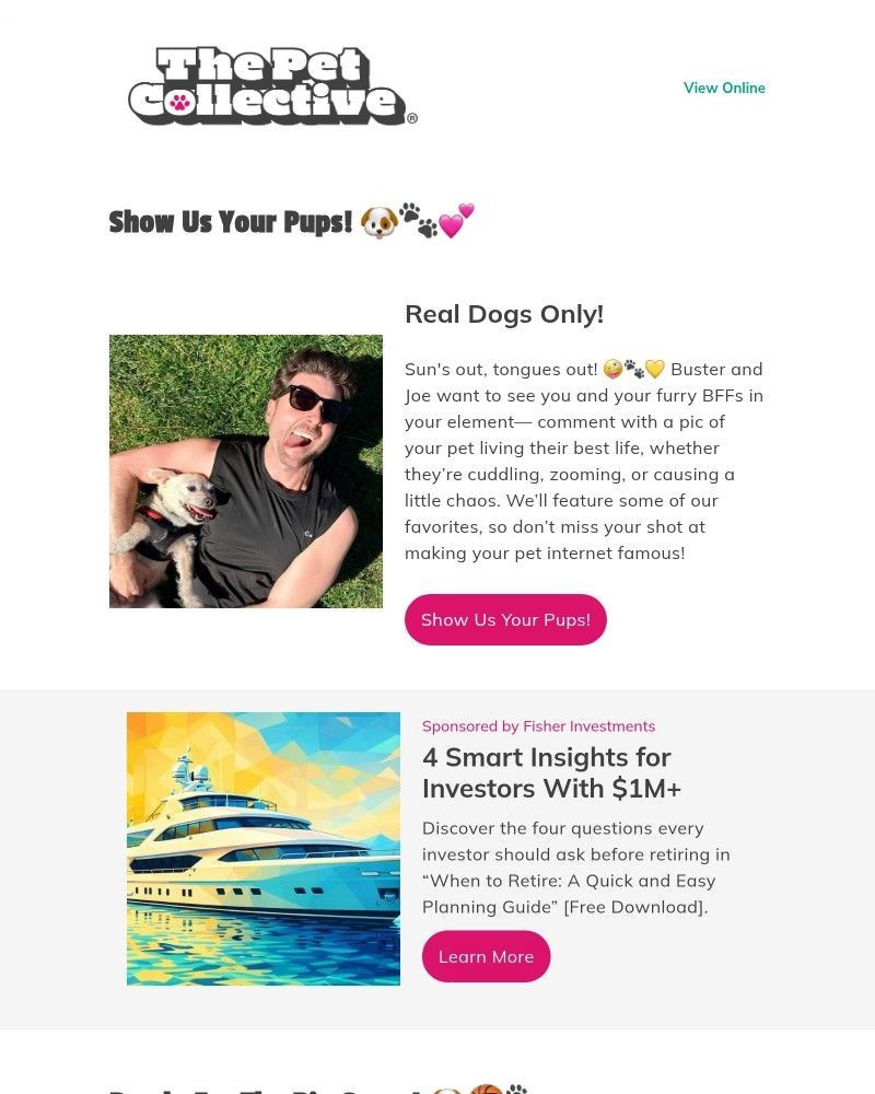 Screenshot of email with subject /media/emails/we-want-to-see-your-pet-send-us-a-photo-a349b1-cropped-70087ddb.jpg