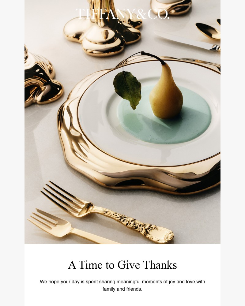 Screenshot of email with subject /media/emails/we-wish-you-a-happy-thanksgiving-32e2f6-cropped-a5c8de33.jpg