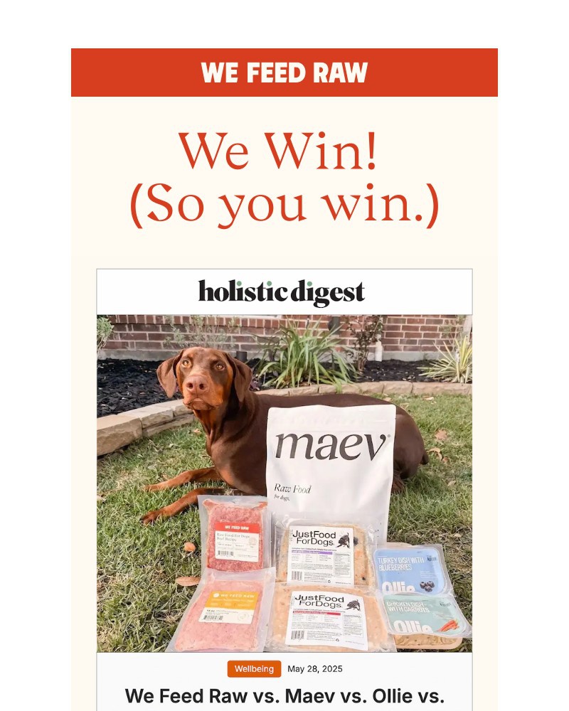 Screenshot of email with subject /media/emails/we-won-against-maev-ollie-3b2ac3-cropped-e1b2ed06.jpg