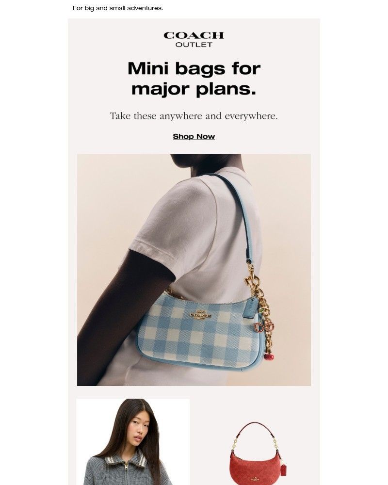 Screenshot of email with subject /media/emails/wear-everywhere-mini-bags-dd69e0-cropped-ce334cf4.jpg