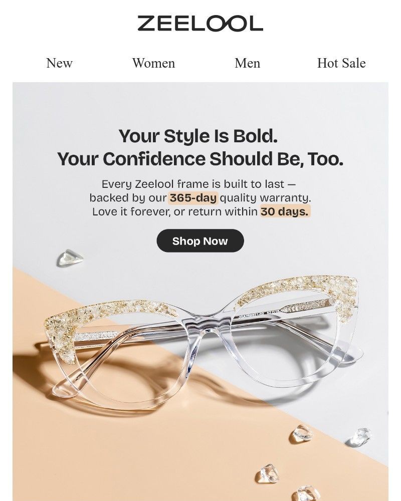 Screenshot of email sent to a Zeelool Newsletter subscriber