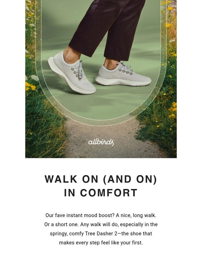 Screenshot of email sent to a Allbirds Newsletter subscriber