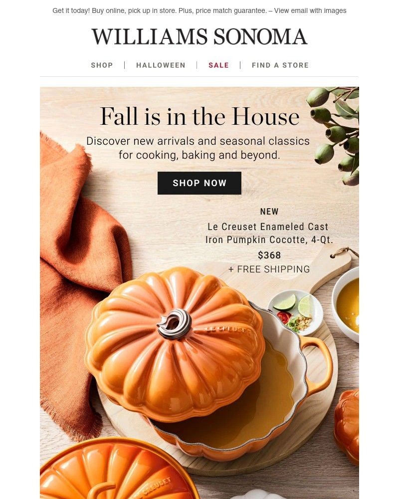 Screenshot of email with subject /media/emails/welcome-back-pumpkin-35a57b-cropped-f0c11d9a.jpg