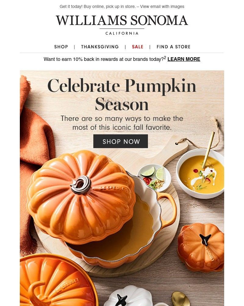 Screenshot of email with subject /media/emails/welcome-back-pumpkin-8ca58e-cropped-0da88248.jpg