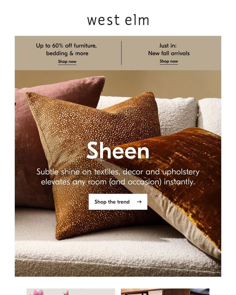 Screenshot of email with subject /media/emails/welcome-fall-with-a-subtle-sheen-4e1df4-cropped-13689933.jpg