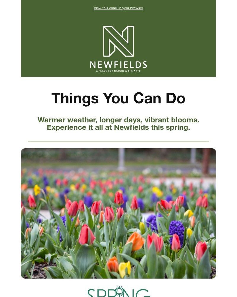 Screenshot of email sent to a Newfields Newsletter subscriber