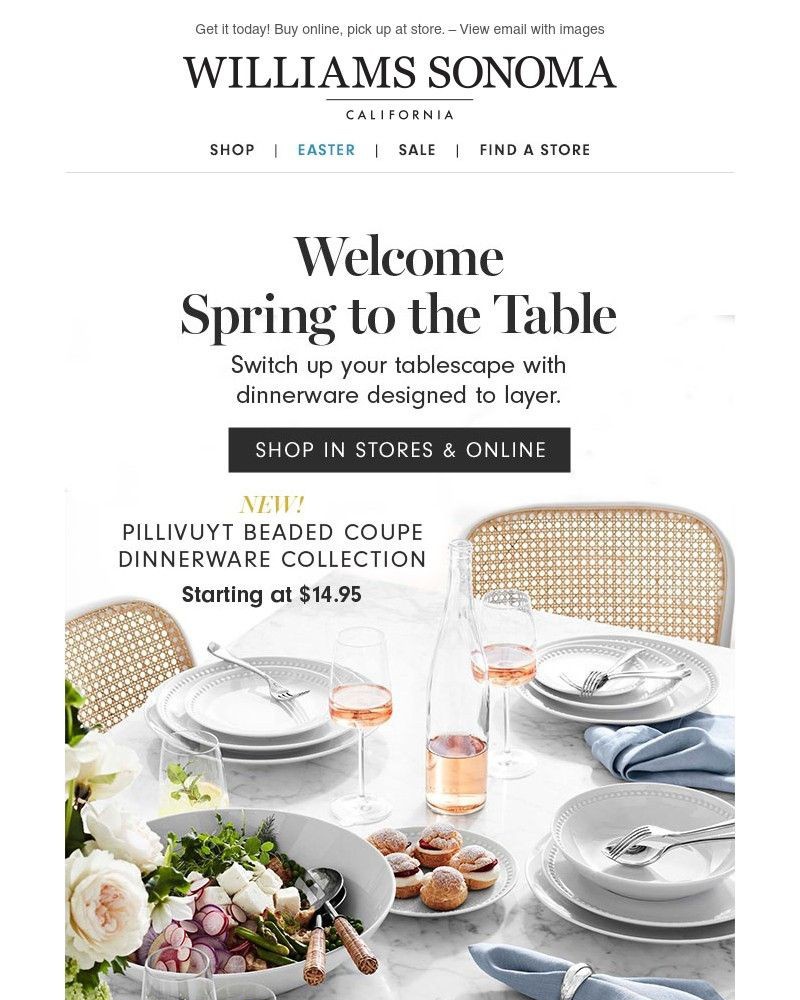 Screenshot of email with subject /media/emails/welcome-spring-to-the-table-new-pillivuyt-beaded-coupe-dinnerware-collection-b3e2_ZRPz4Cp.jpg