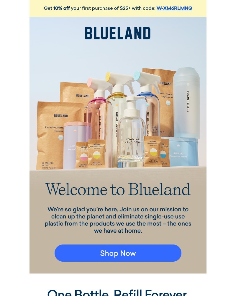 Screenshot of email sent to a Blueland Newsletter subscriber