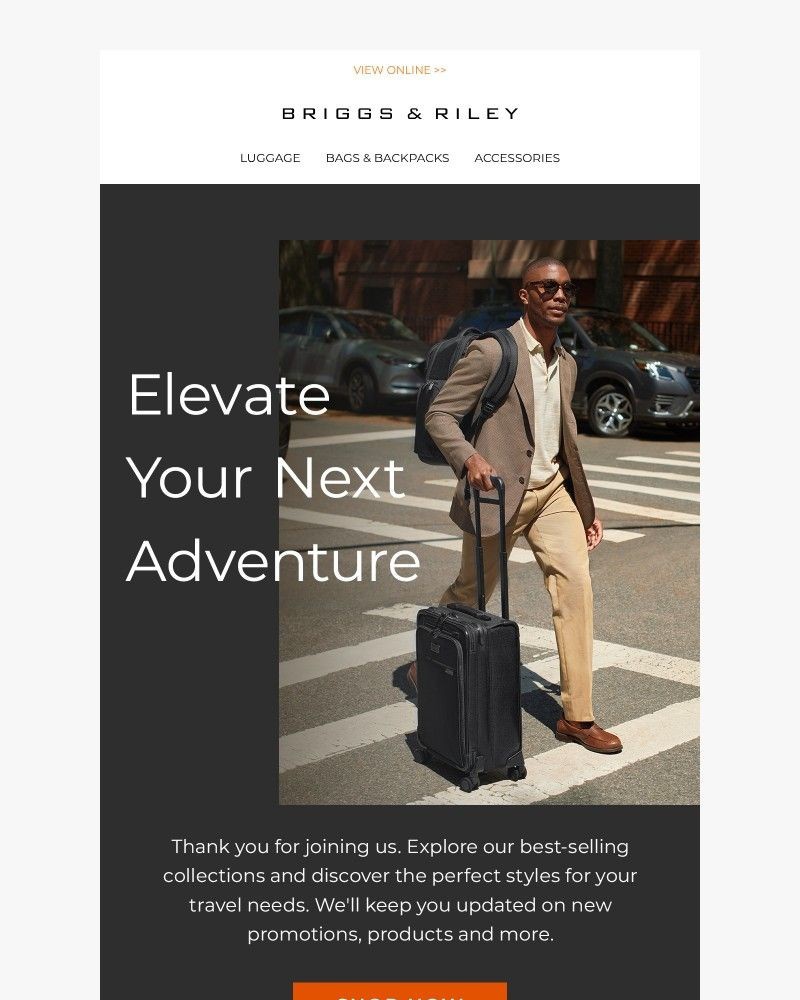 Screenshot of email sent to a Briggs & Riley Newsletter subscriber