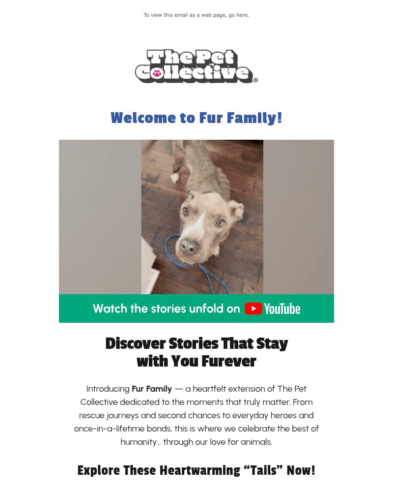 Screenshot of email with subject /media/emails/welcome-to-fur-family-d33b6a-cropped-42d6ceb3.jpg