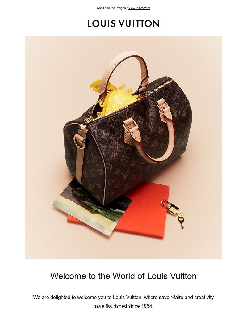 Screenshot of email sent to a Louis Vuitton Newsletter subscriber