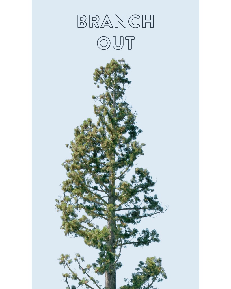 Screenshot of email with subject /media/emails/welcome-to-our-neck-of-the-woods-cropped-2826eb48.jpg
