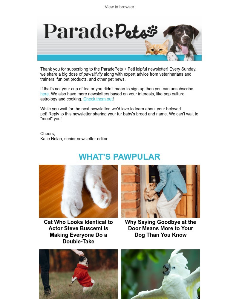 Screenshot of email with subject /media/emails/welcome-to-parade-pets-e919f4-cropped-4d266531.jpg
